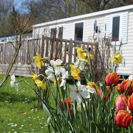 Campingplatz Flower Le Rompval Le Bois de Cise
