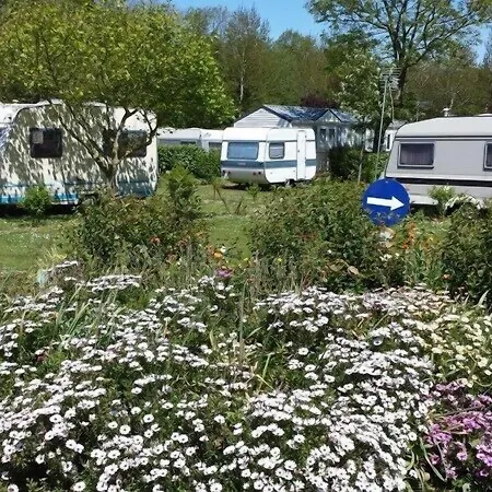 Flower Le Rompval Campingplatz Le Bois de Cise